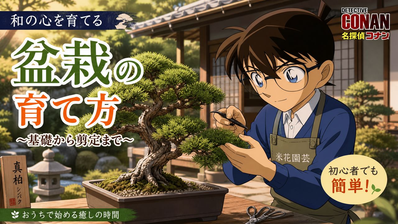 猎奇猎奇-盆栽猎奇教程 | 从入门到精通完整视频演示